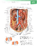 Sobotta  Atlas of Human Anatomy  Trunk, Viscera,Lower Limb Volume2 2006, page 224